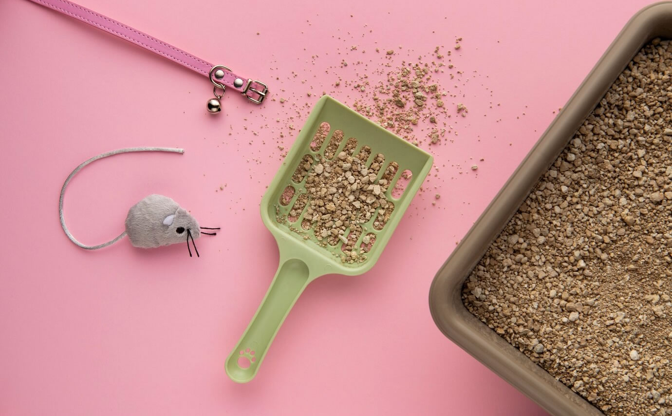 Kedi Kumu Kullanımı ve Temizliği: Sağlıklı Bir Ortam Nasıl Sağlanır?